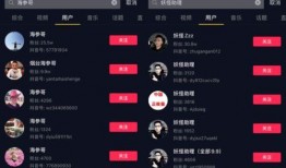 爆料抖音大v排行榜最新,揭秘最新热门抖音红人排行