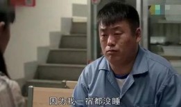 乡8全集在线观看免费,探寻乡村风情，共赴心灵之旅